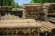 Trins Timber Yard - Mbao na Vifaa vya Ua Bora - 2
