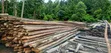 Trins Timber Yard - Mbao na Vifaa vya Ua Bora - 3