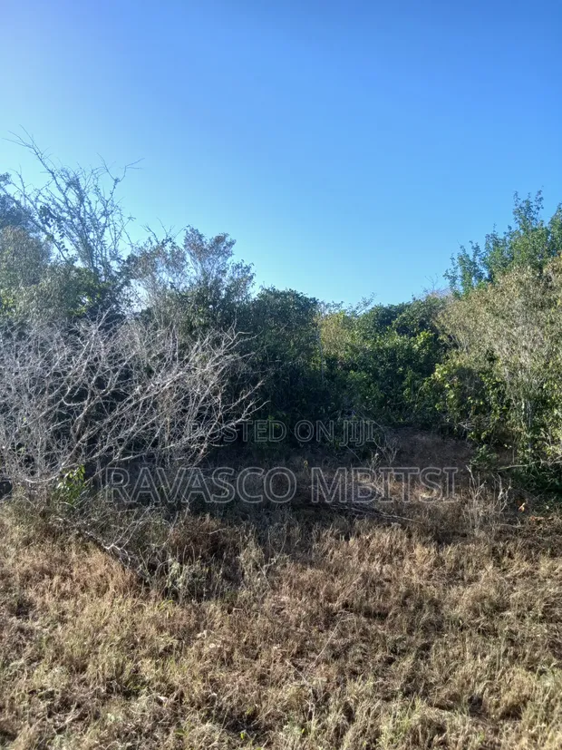 12 Acres for Sale in Malindi Marafa Matopeni - Ideal for Farming - 1
