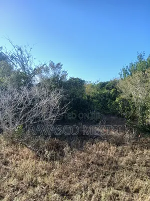 12 Acres for Sale in Malindi Marafa Matopeni - Ideal for Farming