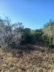 12 Acres for Sale in Malindi Marafa Matopeni - Ideal for Farming - 1