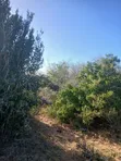 12 Acres for Sale in Malindi Marafa Matopeni - Ideal for Farming - 2