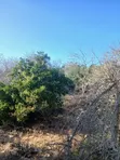 12 Acres for Sale in Malindi Marafa Matopeni - Ideal for Farming - 3