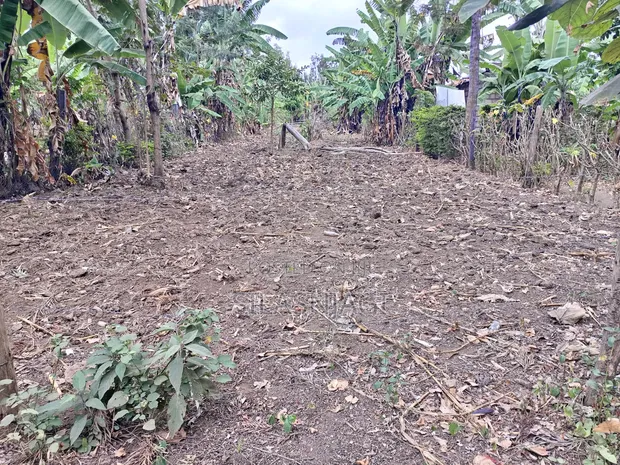 1/4 Acre Land for Sale in Kathirune, Meru - 1