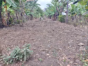 1/4 Acre Land for Sale in Kathirune, Meru