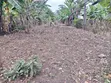1/4 Acre Land for Sale in Kathirune, Meru - 1
