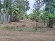 1/4 Acre Land for Sale in Kathirune, Meru - 2