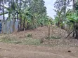 1/4 Acre Land for Sale in Kathirune, Meru - 3