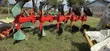 Heavy Duty Reversible Mouldboard Plough (5x2) - 4