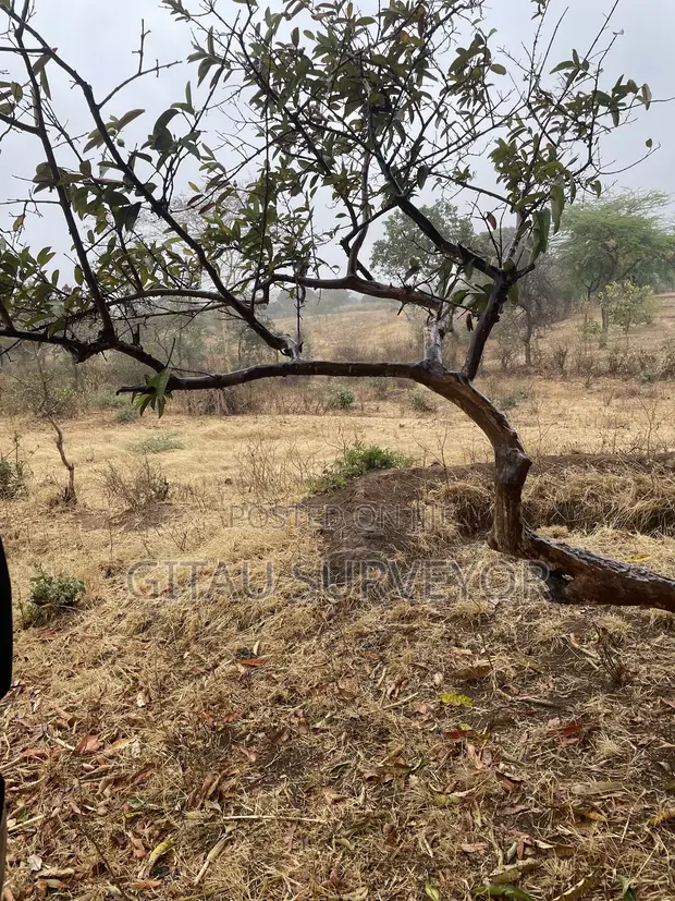 1 Acre Land for Sale in Mwala Mathunthini - 1