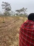 1 Acre Land for Sale in Mwala Mathunthini - 2