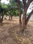 1 Acre Land for Sale in Mwala Mathunthini - 3