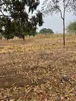1 Acre Land for Sale in Mwala Mathunthini - 4