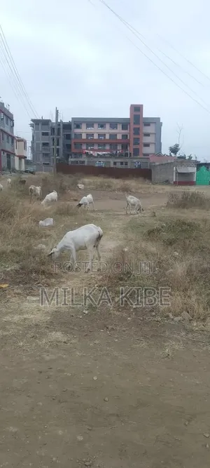 Mwihoko Commercial Plot - 40x60