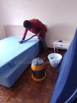 Professional Couch Mattress Cleaning