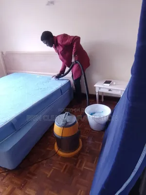 Fast Dry Mattress & Couch Cleaning Services