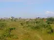 Affordable Joska Plots for Sale - 2