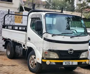 Toyota Dyna 2009 White Manual