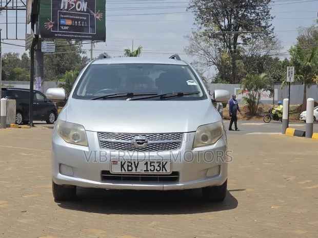 Toyota Corolla Fielder 2007 Silver - 1