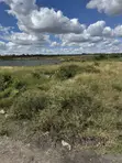 3 Prime Plots for Sale in Kinanie (50x100 each) - 1
