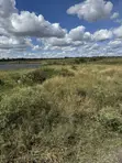 3 Prime Plots for Sale in Kinanie (50x100 each) - 2