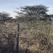 Prime 2 Acres in Tuala - 1