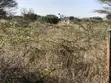 Prime 2 Acres in Tuala - 4
