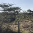 Prime 2 Acres in Tuala - 5