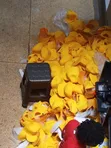 Yellow Caps with Branding - 1