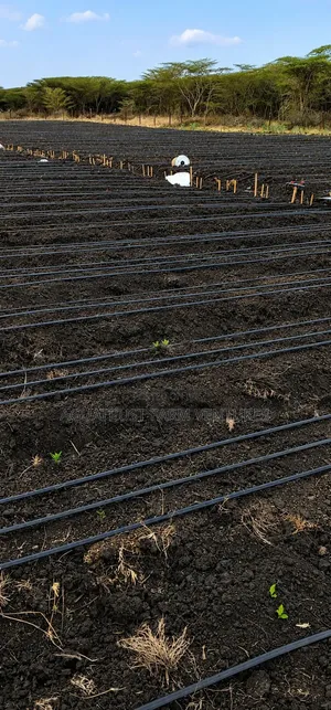 Drip Irrigation System Installation