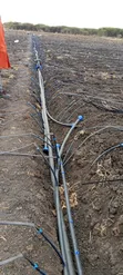 Drip Irrigation System Installation - 2