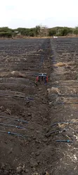 Drip Irrigation System Installation - 3
