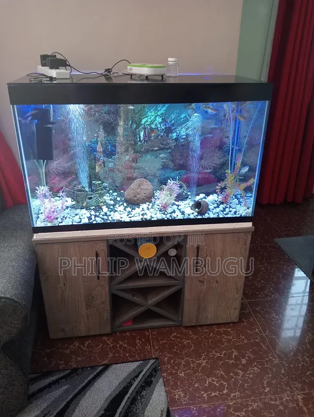 Aquarium with Freshwater Fish and Stand - 1