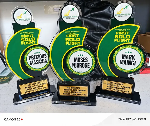 Custom Trophies and Awards - 1