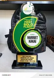 Custom Trophies and Awards - 2