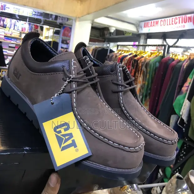 Timberland Rugged Moc-Toe Boots - Brand New - 1