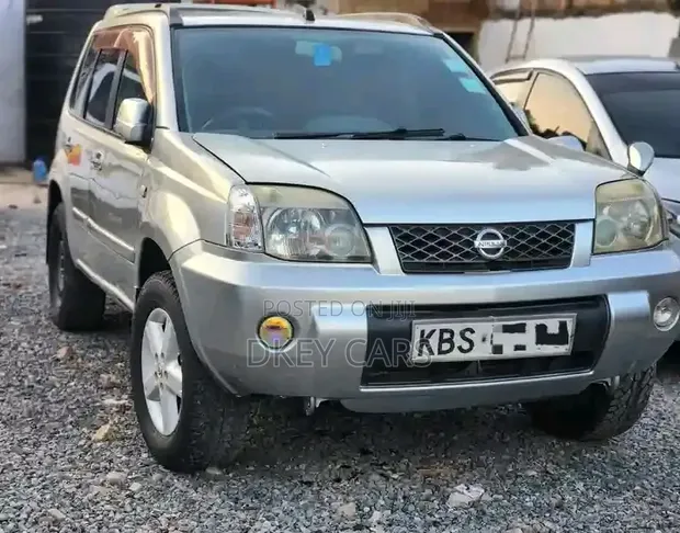 Nissan X-Trail 2005 Silver - 1