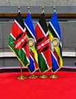 Adjustable Flag Pole and Custom Flags - 2