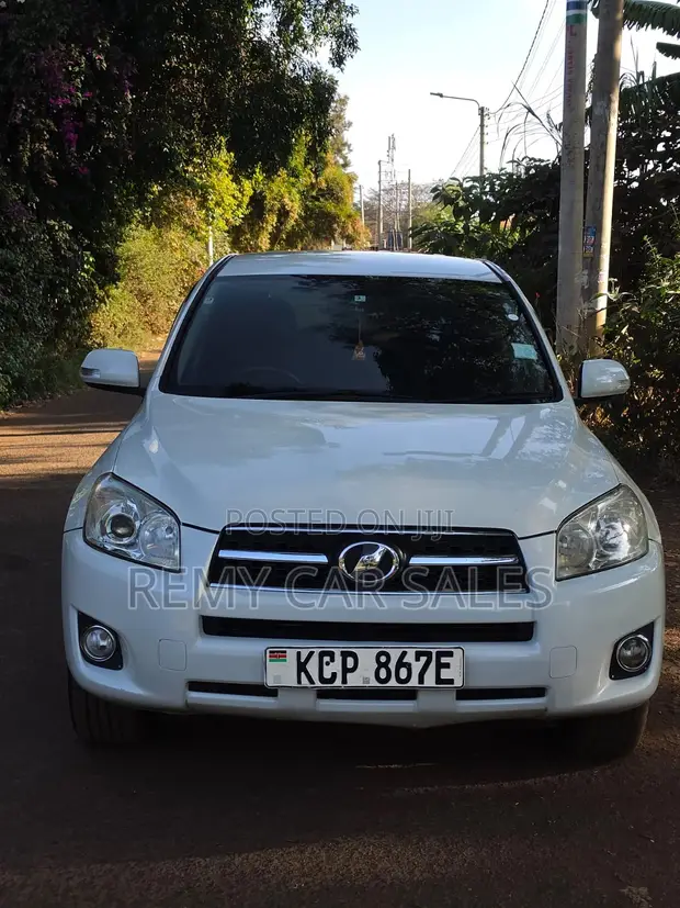 Toyota RAV4 2010 White - 1