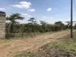 Residential Plot for Sale in Tuala, Near Nairobi National Park - 4