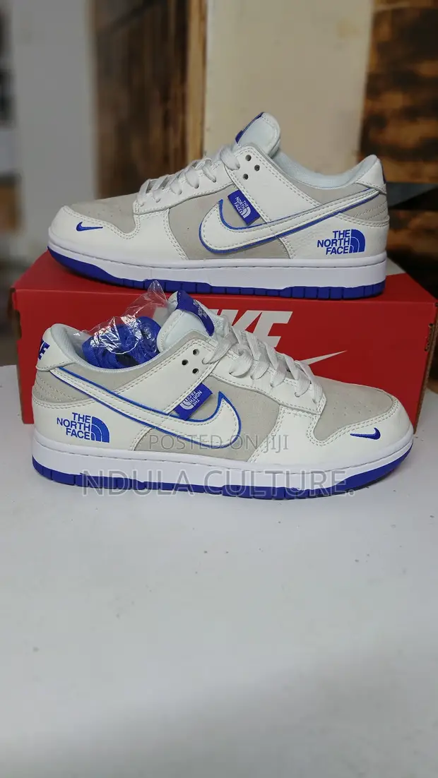 The North Face x Nike SB Dunk (Concept/Custom) - 1