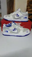 The North Face x Nike SB Dunk (Concept/Custom) - 1
