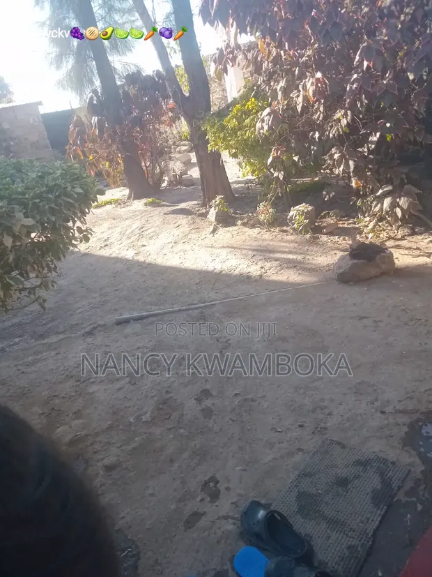 Furnished 4-Bedroom Bungalow in Kamulu, Mavoko for Sale - 1