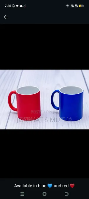 Magic Mugs - Plain & Branded