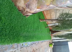 Artificial Grass Carpet - Environmental Friendly