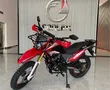 New SL200GY-4 Cargo Motorcycle - 4