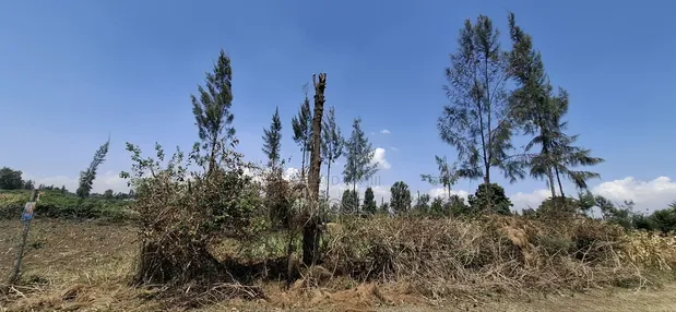 Plot for Sale - Mang'u Kabarak - 1