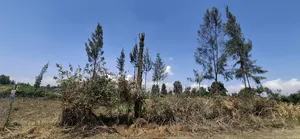 Plot for Sale - Mang'u Kabarak