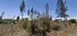 Plot for Sale - Mang'u Kabarak - 2