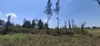 Plot for Sale - Mang'u Kabarak - 4